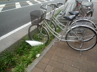 市役所南通りの植え込みに置かれた自転車